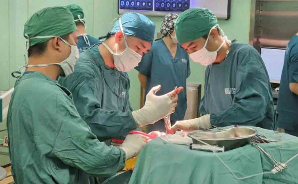 Chiến lược y tế chuyên sâu