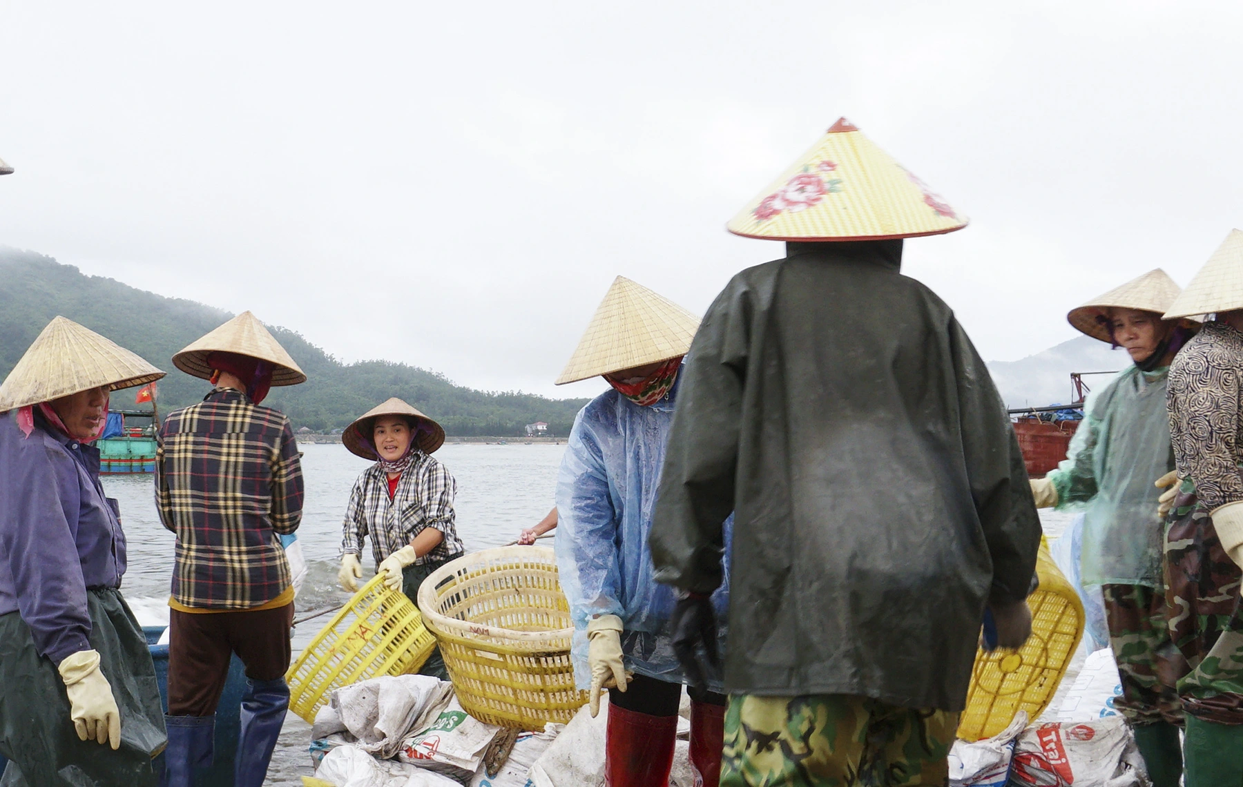 Chợ cá biển Thiên Cầm