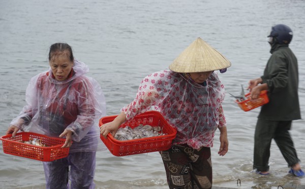 Chợ cá biển Thiên Cầm