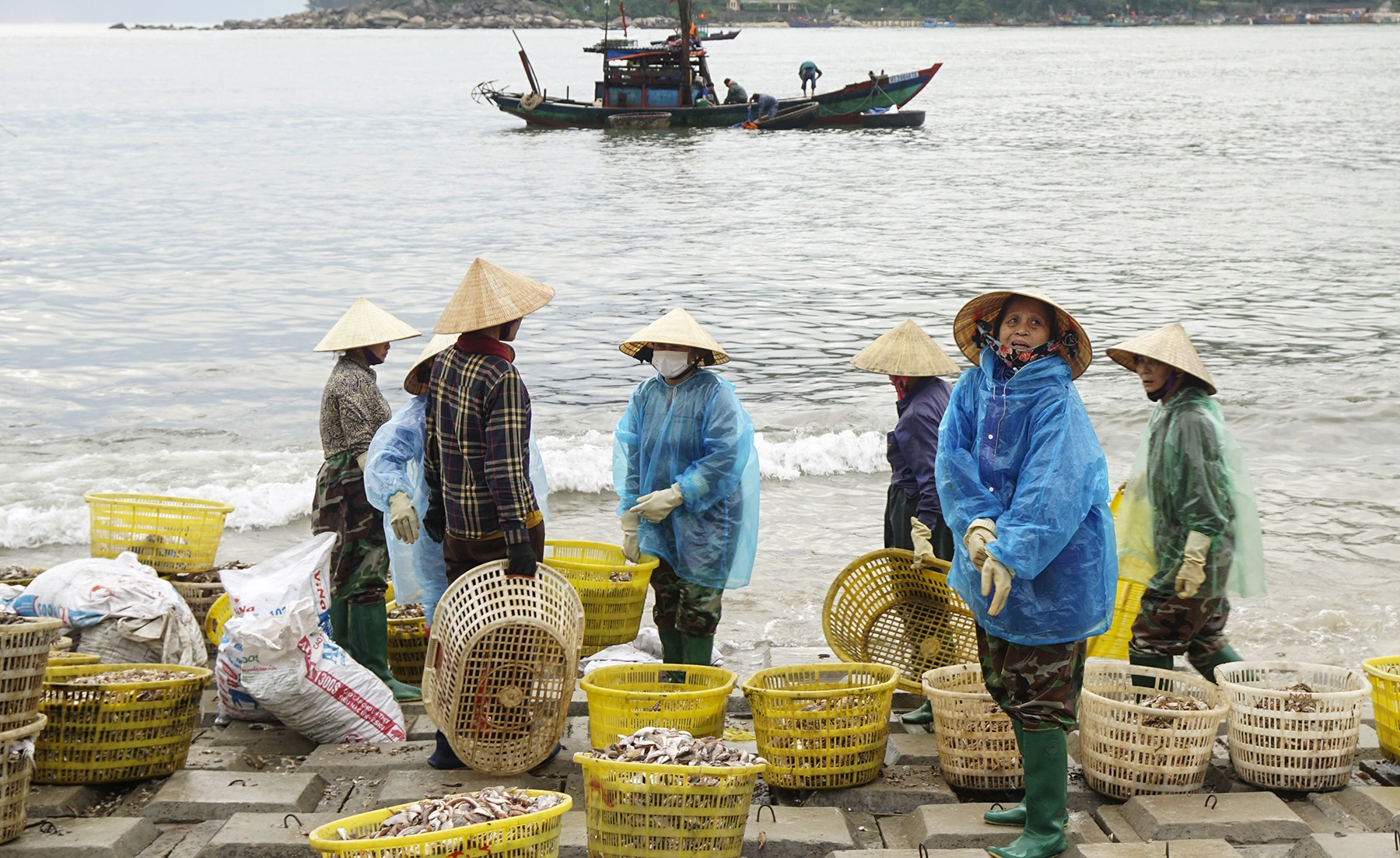 Chợ cá biển Thiên Cầm