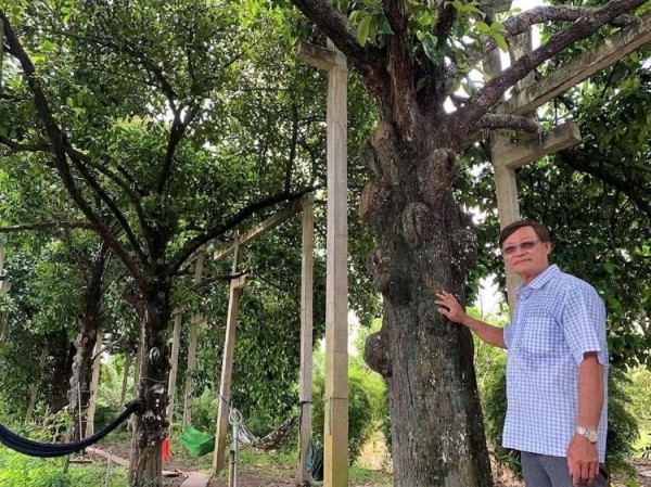 Cù lao Phong Nẫm không chỉ độc lạ măng cụt 100 tuổi