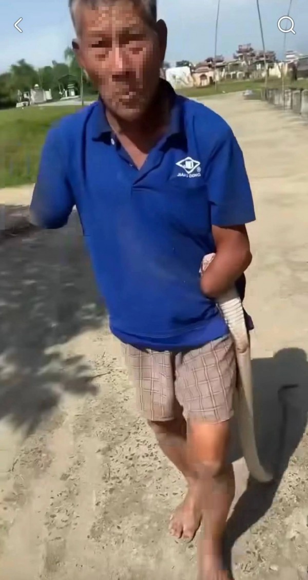 Cụ ông cụt 2 tay kẹp rắn hổ mang đem về nhà, con trai kể lại khoảnh khắc khó tin