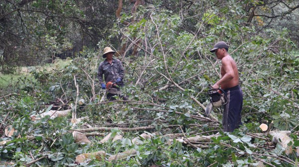 Doanh nghiệp dự án cao tốc Gia Nghĩa - Chơn Thành xin chuyển từ BOT sang BT Doanh nghiệp dự án cao tốc Gia Nghĩa - Chơn Thành xin chuyển từ BOT sang BT
