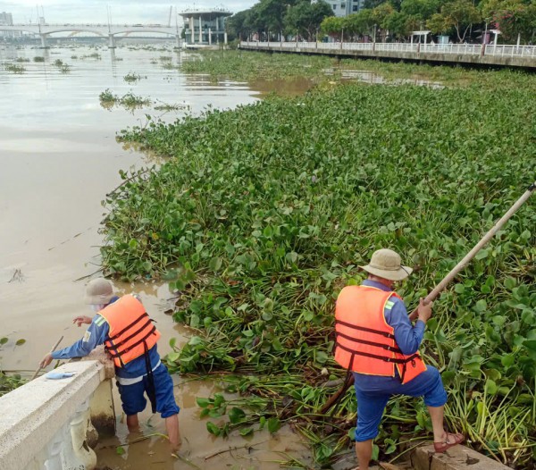 Dọn dẹp hàng chục tấn rác, trả lại bãi biển Đà Nẵng sau bão số 4