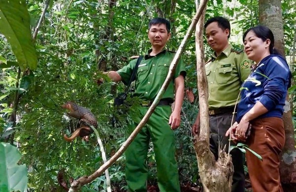 Dọn dẹp sân, giật mình thấy động vật quý hiếm Dọn dẹp sân, giật mình thấy động vật quý hiếm