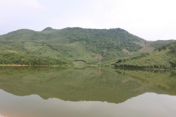 Gần hồ thủy lợi nhưng lúa vẫn 'khát' Gần hồ thủy lợi nhưng lúa vẫn 'khát'