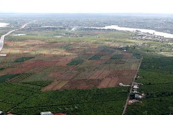 Gia Lai: 'Cò đất' rao bán cả đất công, phân lô trái phép tràn lan Gia Lai: 'Cò đất' rao bán cả đất công, phân lô trái phép tràn lan