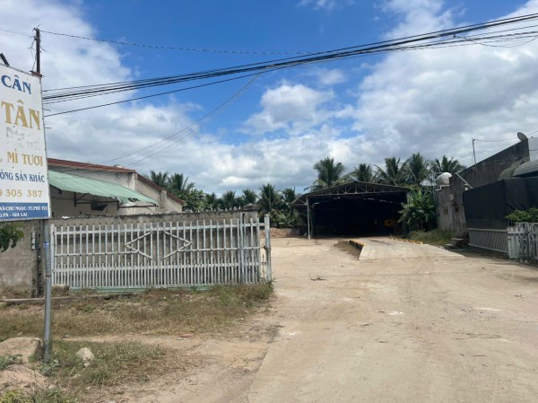 Gia Lai: Hàng chục trạm cân nông sản sai phạm Gia Lai: Hàng chục trạm cân nông sản sai phạm