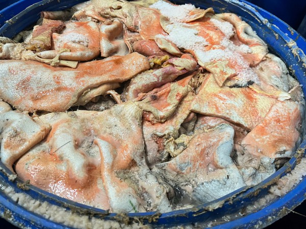 Gia Lai: Phát hiện gần 100 thùng nguyên liệu làm lạp xưởng bốc mùi hôi thối Gia Lai: Phát hiện gần 100 thùng nguyên liệu làm lạp xưởng bốc mùi hôi thối