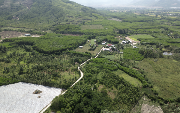 Gia Lai chuyển đổi hơn 80 ha đất rừng để triển khai 7 dự án Gia Lai chuyển đổi hơn 80 ha đất rừng để triển khai 7 dự án