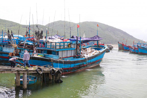 Giá dầu tăng cao, nhiều tàu cá Quảng Ngãi ngại vươn khơi