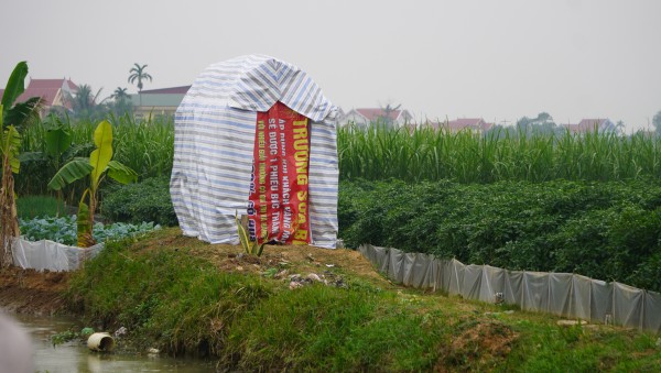 Giá ớt lập kỷ lục, nông dân Thanh Hóa… mất ngủ Giá ớt lập kỷ lục, nông dân Thanh Hóa… mất ngủ