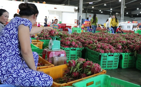 Giải ngân vốn đầu tư công ì ạch, Lâm Đồng lo hụt mục tiêu tăng trưởng Giải ngân vốn đầu tư công ì ạch, Lâm Đồng lo hụt mục tiêu tăng trưởng