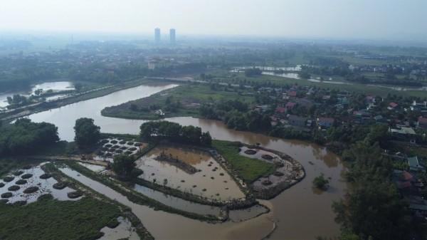 Gian nan bảo vệ chim trời