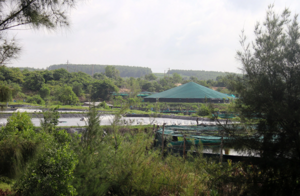 Gỡ nút thắt cơ chế để thúc đẩy 2 dự án điện khí LNG Sơn Mỹ Gỡ nút thắt cơ chế để thúc đẩy 2 dự án điện khí LNG Sơn Mỹ