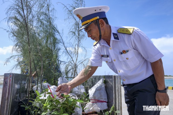 Gói trọn ân tình gửi Trường Sa Gói trọn ân tình gửi Trường Sa