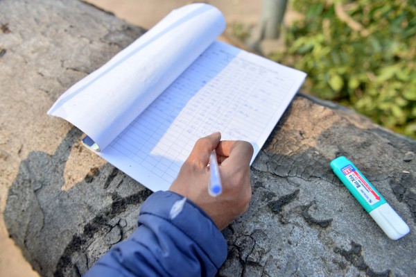 Hà Nội: Chặt hạ, dịch chuyển hàng xà cừ cổ thụ trên đường 70 Hà Nội: Chặt hạ, dịch chuyển hàng xà cừ cổ thụ trên đường 70