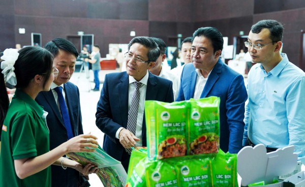 'Hạ tầng cảnh quan mềm' là chìa khóa cho chuyển đổi xanh bền vững Đà Nẵng