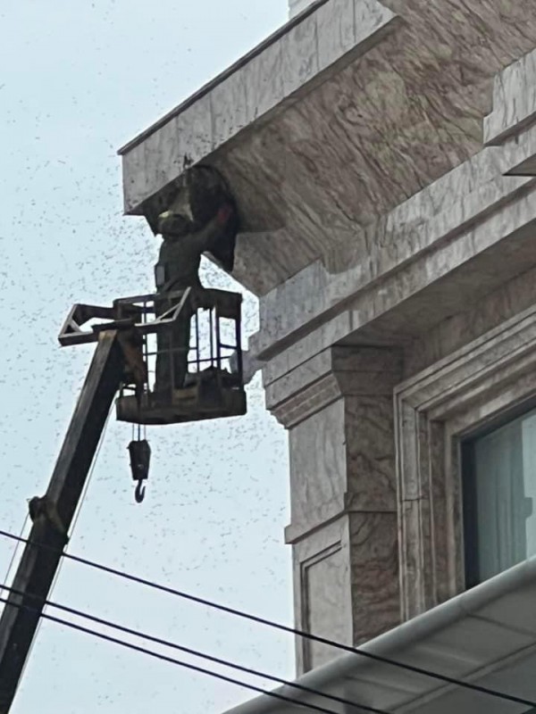 Hải Phòng: Khách sạn phá tổ ong khoái, 4 người dân bị ong đốt đi viện