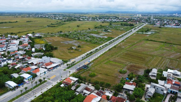 Hàng loạt cây xanh tại dự án đường hơn 370 tỉ đồng ở Huế chết khô Hàng loạt cây xanh tại dự án đường hơn 370 tỉ đồng ở Huế chết khô