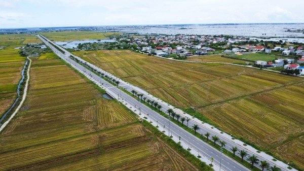 Hàng loạt cây xanh tại dự án đường hơn 370 tỉ đồng ở Huế chết khô Hàng loạt cây xanh tại dự án đường hơn 370 tỉ đồng ở Huế chết khô