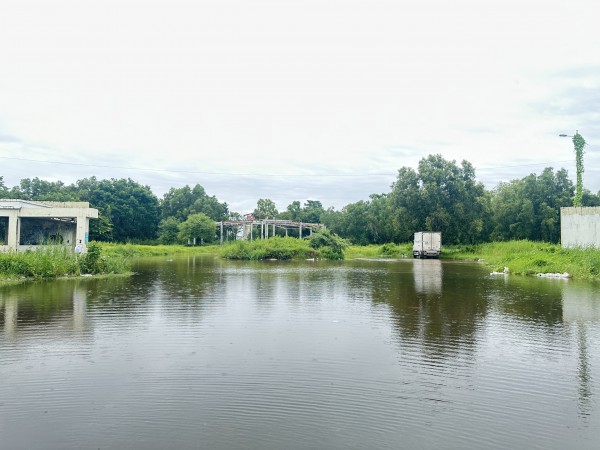 Hàng loạt khu đất công tại Cà Mau sau thu hồi nhiều năm vẫn bỏ trống Hàng loạt khu đất công tại Cà Mau sau thu hồi nhiều năm vẫn bỏ trống