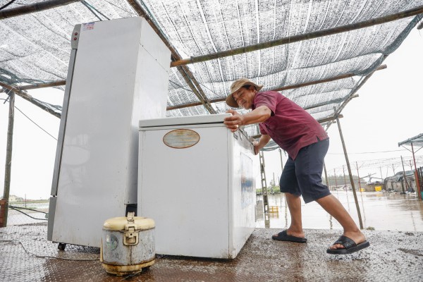 Hàng trăm tàu cá Ninh Bình về bờ tránh bão số 3 (Wipha) Hàng trăm tàu cá Ninh Bình về bờ tránh bão số 3 (Wipha)