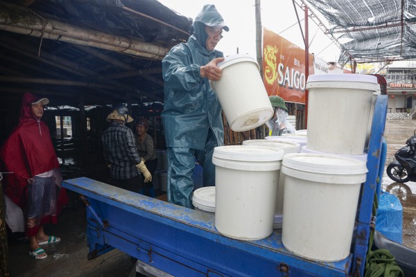 Hàng trăm tàu cá Ninh Bình về bờ tránh bão số 3 (Wipha) Hàng trăm tàu cá Ninh Bình về bờ tránh bão số 3 (Wipha)