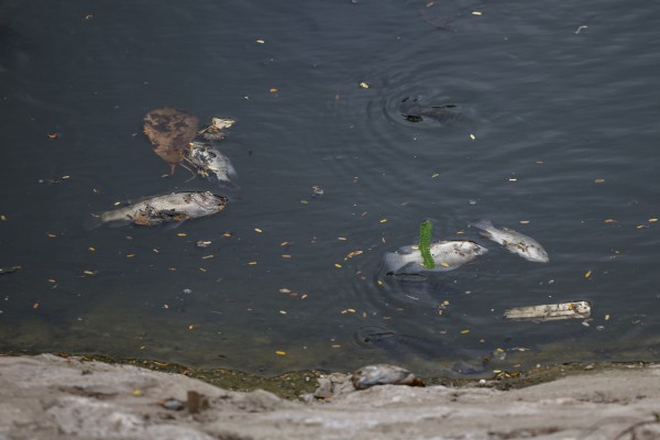 Hiện trạng sông Tô Lịch sau khi bổ cập 2 nguồn nước Hiện trạng sông Tô Lịch sau khi bổ cập 2 nguồn nước