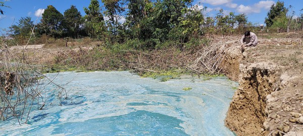 Hồ thủy điện Ya Ly bị ô nhiễm, bốc mùi hôi thối