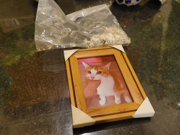 Hỏa táng thú cưng: Ngày đầu vào Bình Hưng Hòa 'hơi sợ sợ'