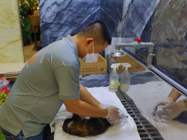 Hỏa táng thú cưng: Sự 'lạnh lùng' cần thiết của anh Quý Hỏa táng thú cưng: Sự 'lạnh lùng' cần thiết của anh Quý