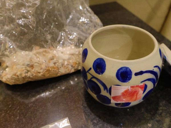 Hỏa táng thú cưng: Sự 'lạnh lùng' cần thiết của anh Quý Hỏa táng thú cưng: Sự 'lạnh lùng' cần thiết của anh Quý