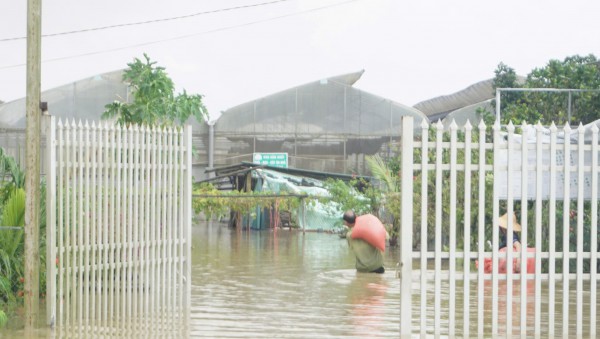 Hơn 4.000 nhà dân ở Thanh Hóa đang bị ngập sâu trong lũ Hơn 4.000 nhà dân ở Thanh Hóa đang bị ngập sâu trong lũ