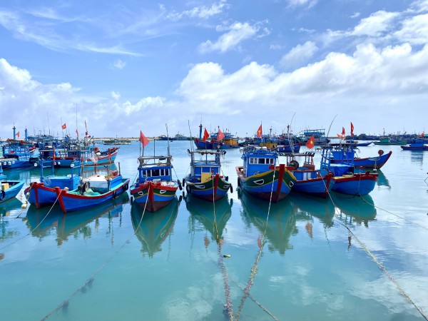 Hướng dẫn ngư dân Quảng Ngãi đăng ký, đăng kiểm cho tàu cá '3 không'