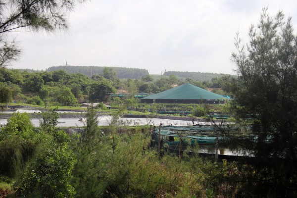 KCN Sơn Mỹ tỉ đô ‘đứng bánh’ vì tắc bồi thường, giải phóng mặt bằng KCN Sơn Mỹ tỉ đô ‘đứng bánh’ vì tắc bồi thường, giải phóng mặt bằng