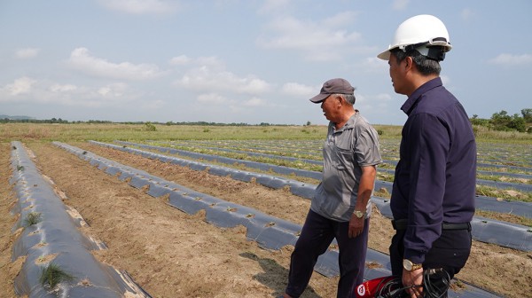 Khai hoang 'chui' trên đất dự án ngàn tỉ bỏ hoang