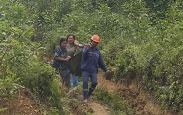 Khai thác keo dưới đường dây điện cao thế, 2 người nhập viện cấp cứu Khai thác keo dưới đường dây điện cao thế, 2 người nhập viện cấp cứu