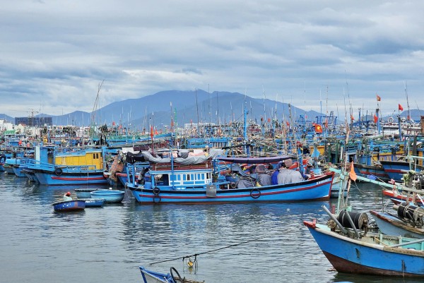 Khánh Hòa: 100% tàu cá trên 6 m đã cập nhật dữ liệu quốc gia Khánh Hòa: 100% tàu cá trên 6 m đã cập nhật dữ liệu quốc gia