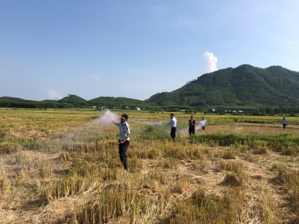 Khánh Hòa: Báo động tình trạng bẫy chim yến trái phép
