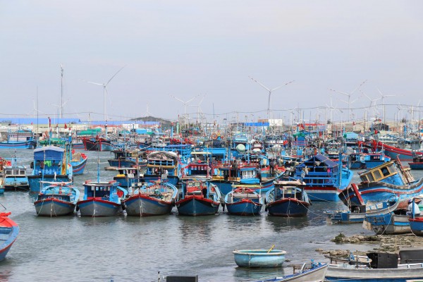 Khánh Hòa giải quyết 33 kiến nghị của doanh nghiệp như thế nào? Khánh Hòa giải quyết 33 kiến nghị của doanh nghiệp như thế nào?