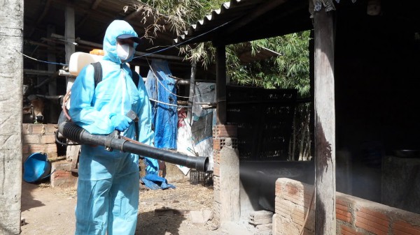 Khánh Hòa lập tổ cơ động chống dịch tả heo châu Phi Khánh Hòa lập tổ cơ động chống dịch tả heo châu Phi