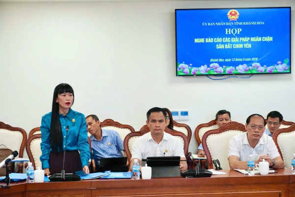 Khánh Hòa lập tổ liên ngành, mở đường dây nóng chống săn bắt chim yến