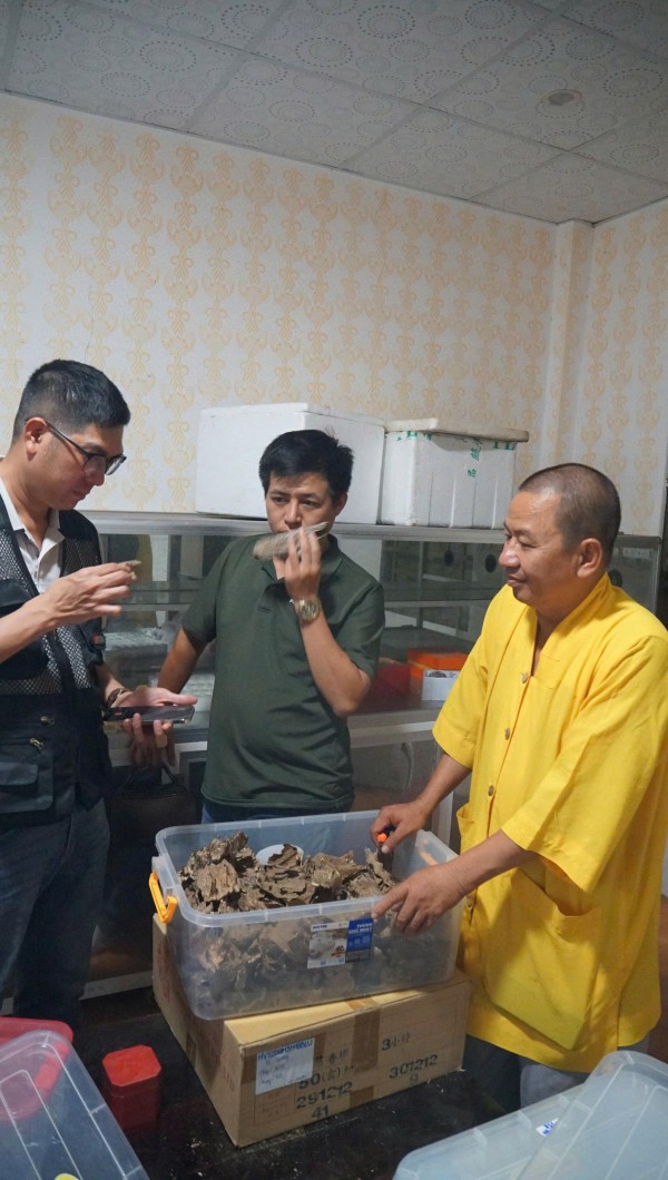 Khát vọng trầm hương của 'nhà sư Thị Kính': Rừng dó bầu nơi cửa Phật Khát vọng trầm hương của 'nhà sư Thị Kính': Rừng dó bầu nơi cửa Phật