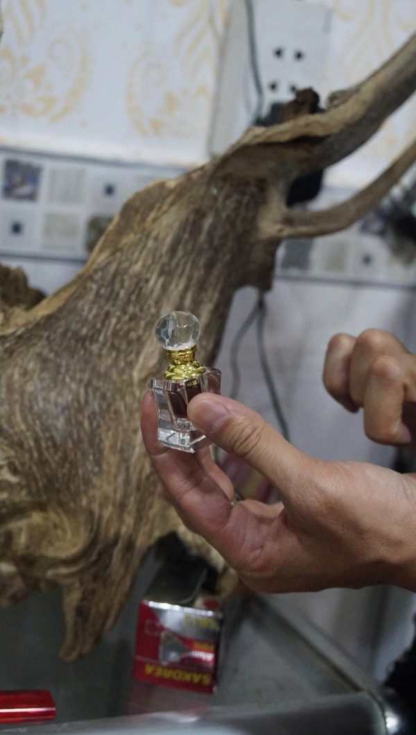 Khát vọng trầm hương của 'nhà sư Thị Kính': Rừng dó bầu nơi cửa Phật Khát vọng trầm hương của 'nhà sư Thị Kính': Rừng dó bầu nơi cửa Phật