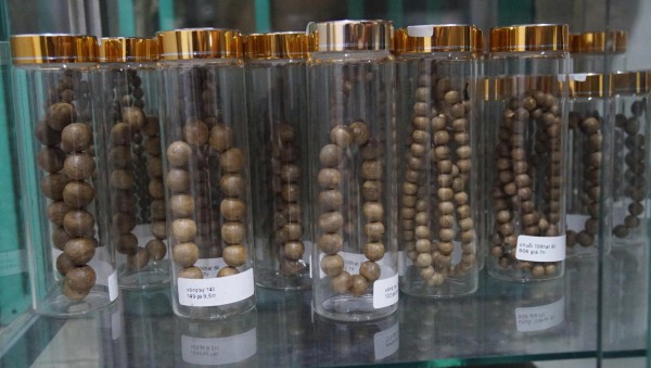 Khát vọng trầm hương của 'nhà sư Thị Kính': Rừng dó bầu nơi cửa Phật Khát vọng trầm hương của 'nhà sư Thị Kính': Rừng dó bầu nơi cửa Phật