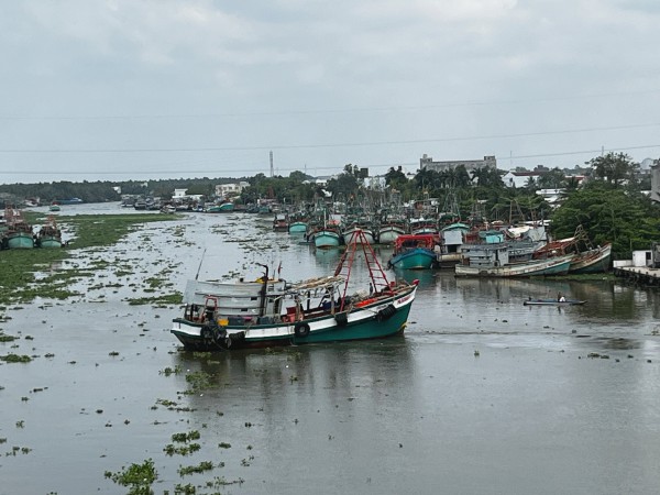 Khởi tố 55 vụ vi phạm khai thác thủy sản, An Giang quyết liệt gỡ 'thẻ vàng' IUU Khởi tố 55 vụ vi phạm khai thác thủy sản, An Giang quyết liệt gỡ 'thẻ vàng' IUU