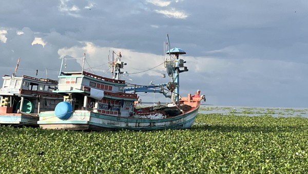 Khởi tố 55 vụ vi phạm khai thác thủy sản, An Giang quyết liệt gỡ 'thẻ vàng' IUU Khởi tố 55 vụ vi phạm khai thác thủy sản, An Giang quyết liệt gỡ 'thẻ vàng' IUU