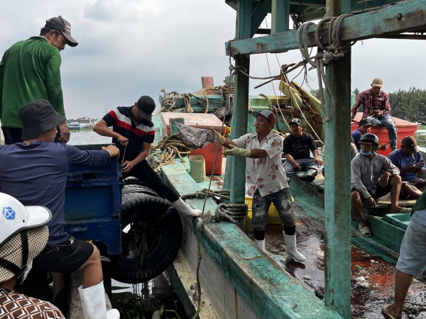 Khởi tố 55 vụ vi phạm khai thác thủy sản, An Giang quyết liệt gỡ 'thẻ vàng' IUU Khởi tố 55 vụ vi phạm khai thác thủy sản, An Giang quyết liệt gỡ 'thẻ vàng' IUU