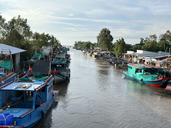 Khởi tố 55 vụ vi phạm khai thác thủy sản, An Giang quyết liệt gỡ 'thẻ vàng' IUU Khởi tố 55 vụ vi phạm khai thác thủy sản, An Giang quyết liệt gỡ 'thẻ vàng' IUU